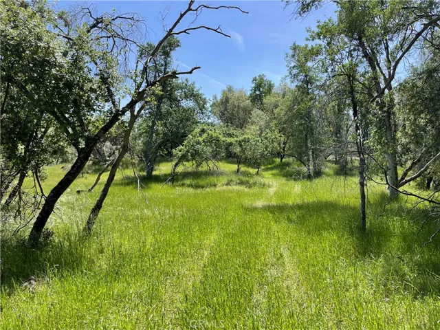 5275 Italian Creek Road, Mariposa, California 95338