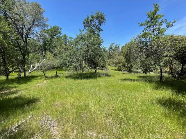 5275 Italian Creek Road, Mariposa, California 95338