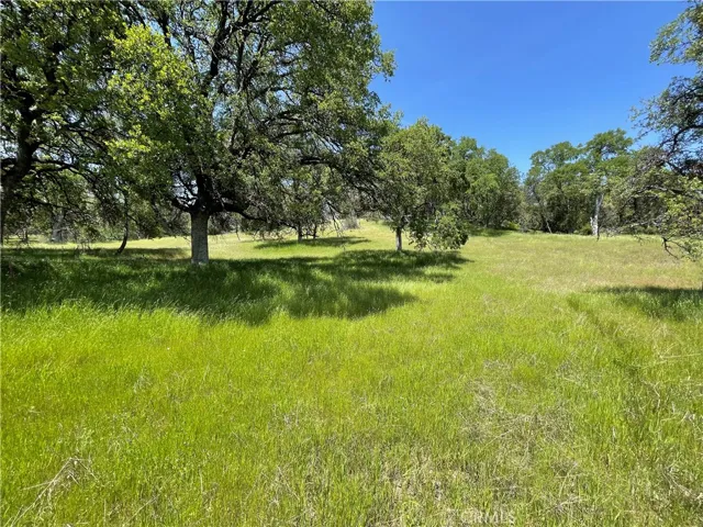 5275 Italian Creek Road, Mariposa, California 95338
