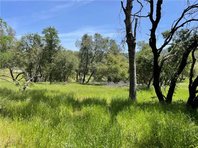 5275 Italian Creek Road, Mariposa, California 95338