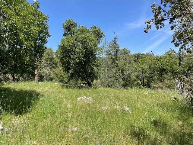 5275 Italian Creek Road, Mariposa, California 95338