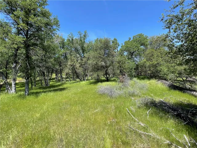 5275 Italian Creek Road, Mariposa, California 95338
