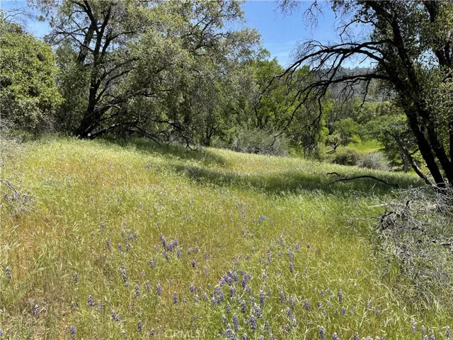 5275 Italian Creek Road, Mariposa, California 95338