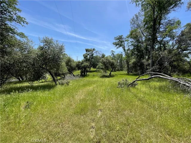 5275 Italian Creek Road, Mariposa, California 95338