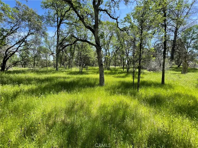 5275 Italian Creek Road, Mariposa, California 95338