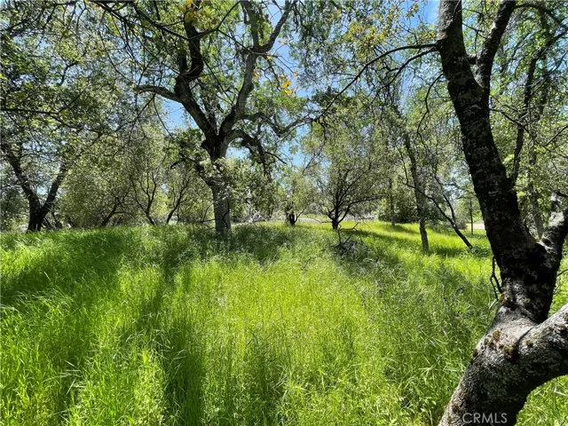 5275 Italian Creek Road, Mariposa, California 95338
