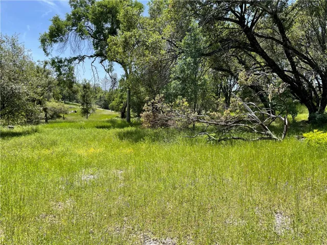 5275 Italian Creek Road, Mariposa, California 95338