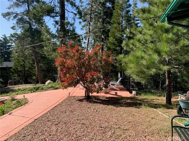26082 Fire Hall Loop, Twin Peaks, California 92391