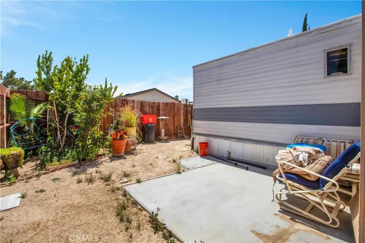 Back yard