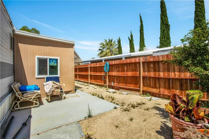 Back yard