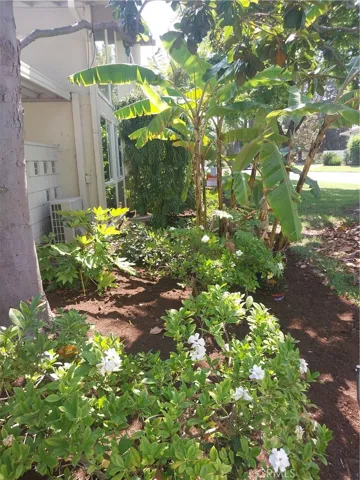 Flower bed on side