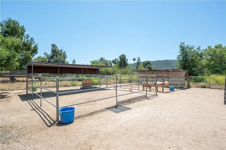 








Horse Areas
