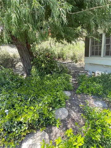 Front side yard