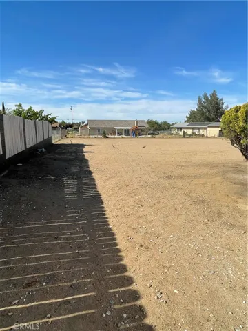 Back yard
