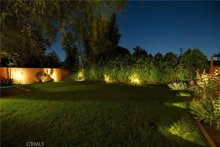 Large grassy backyard with room to grow