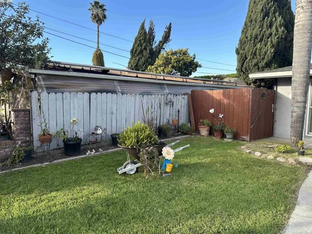 Front Yard