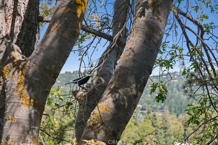 529 Dover Court, Lake Arrowhead, California 92352