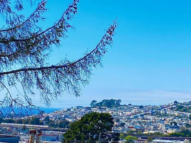 315 Bellevue Avenue, Daly City, California 94014