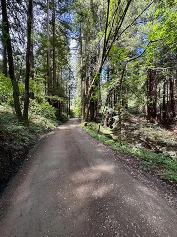 Branciforte Entrance (Continued)