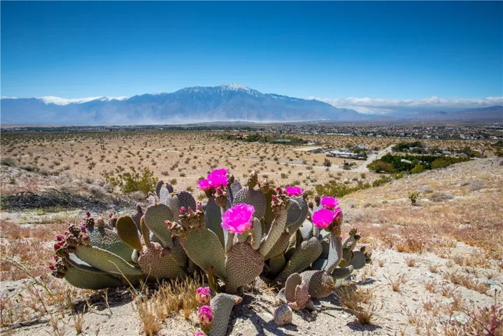 15450 Mountain View Road, Desert Hot Springs, California 92240