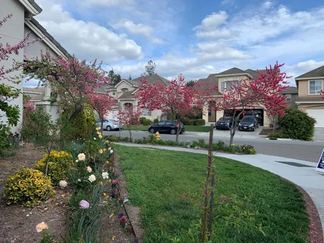 432 S 21st Street, San Jose, California 95116