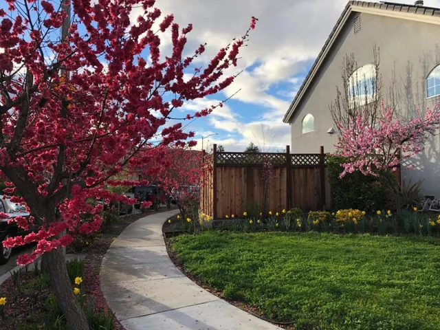 432 S 21st Street, San Jose, California 95116