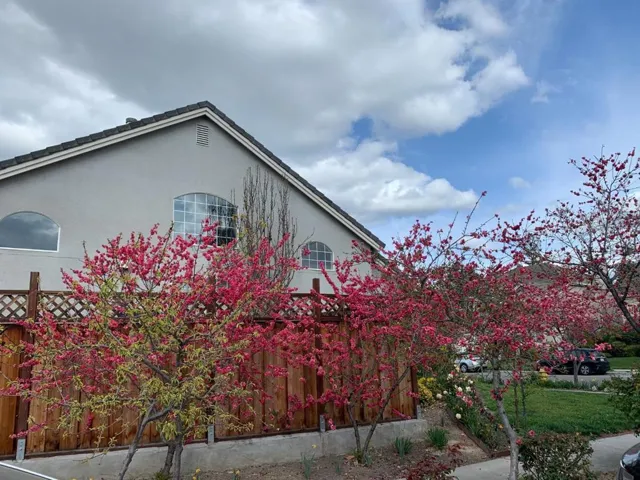 432 S 21st Street, San Jose, California 95116