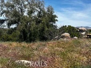 51442 Tule Peak Road, Aguanga, California 92536