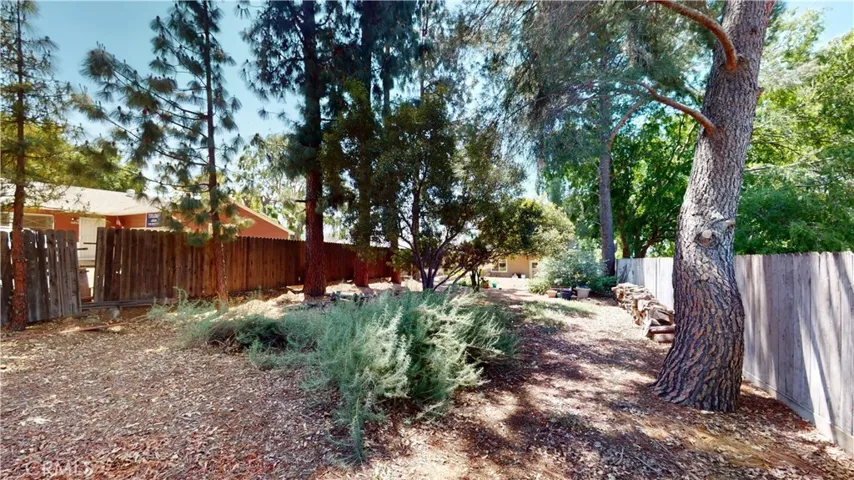 Rear Yard
