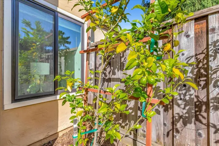 6537 Cobblestone Court, San Jose, California 95120