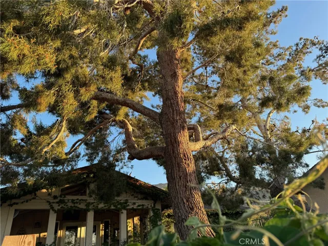 60988 Prescott Trail, Joshua Tree, California 92252