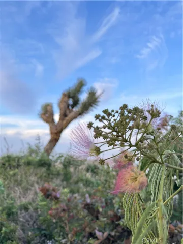 60988 Prescott Trail, Joshua Tree, California 92252