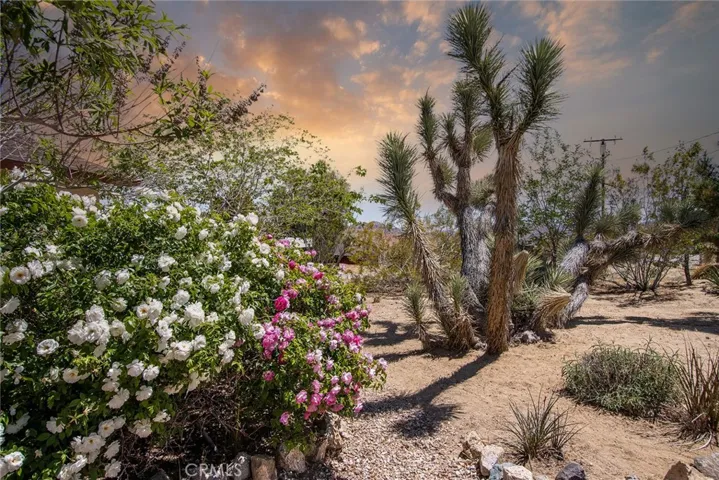 60988 Prescott Trail, Joshua Tree, California 92252