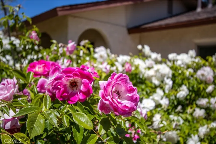 60988 Prescott Trail, Joshua Tree, California 92252