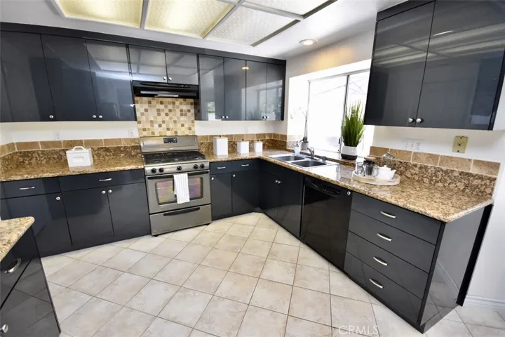 Modern Remodeled Euro Kitchen