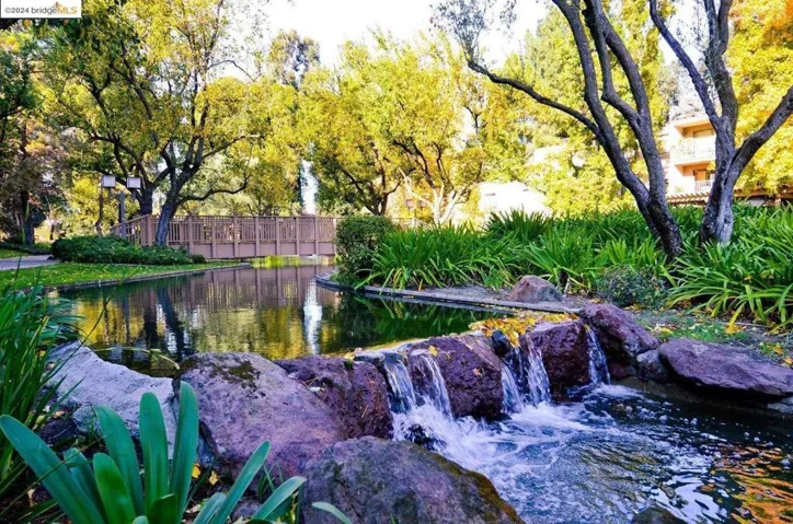 420 N Civic Dr, Walnut Creek, California 94596