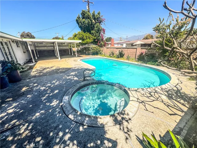 Amazing Backyard