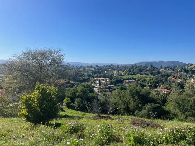 More Valley VIEWS...