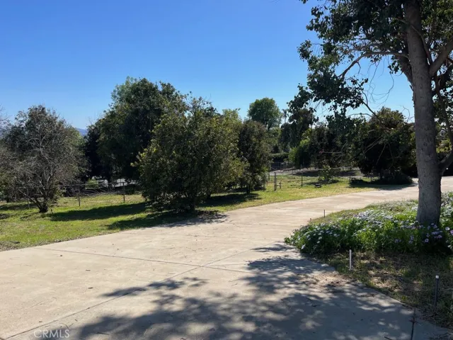 Circular Driveway -