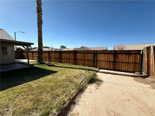 Back Yard