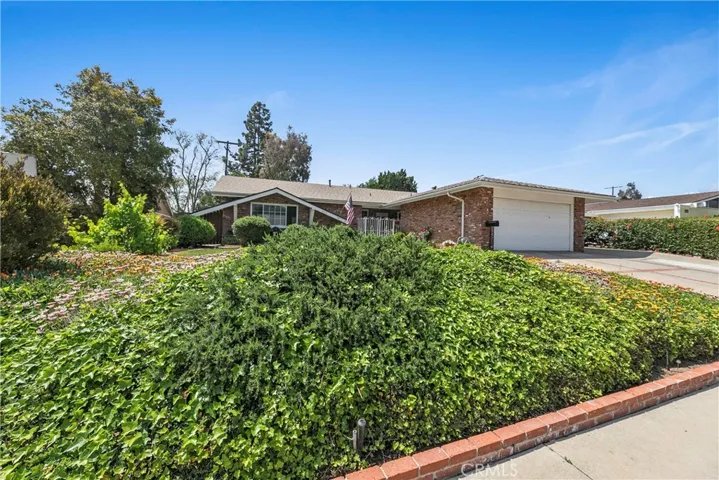 House Landscape View