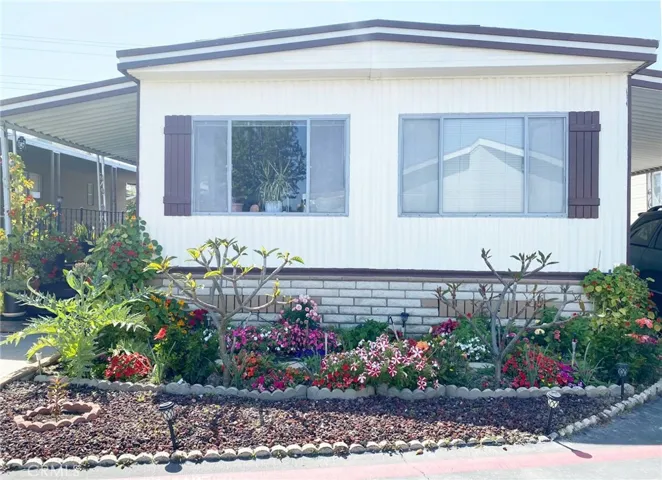 FrontHouse Windows-Flowers