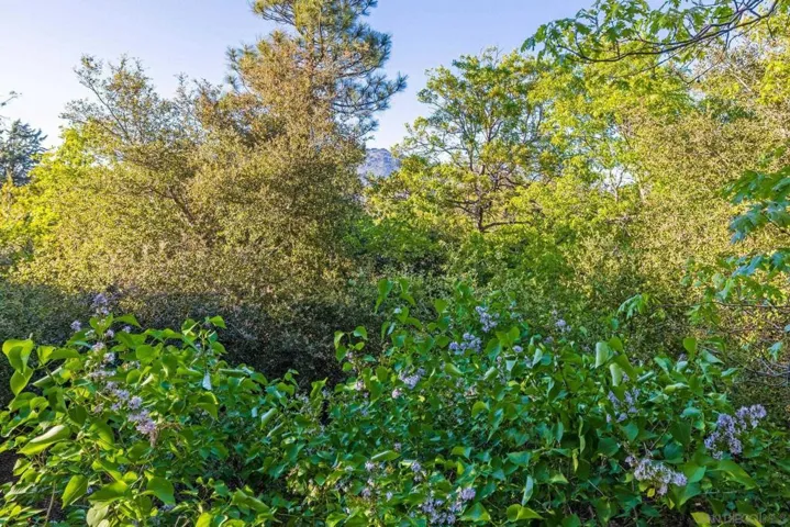 964 Chapin Dr, Julian, California 92036