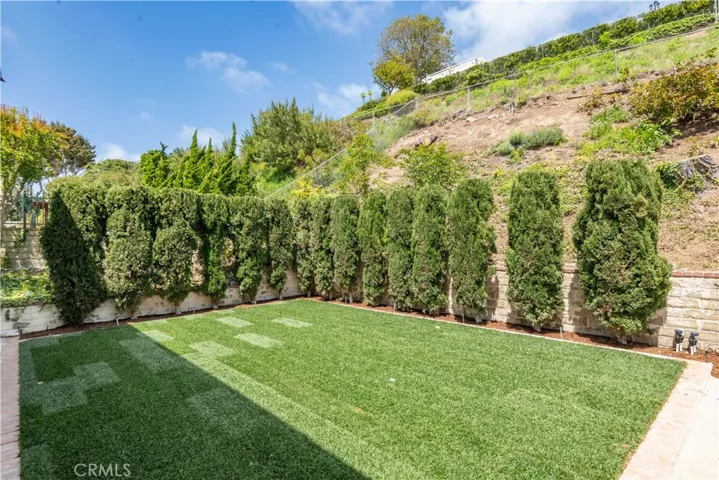 Newly planted grass.