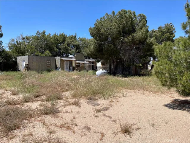 Back Yard Sheds