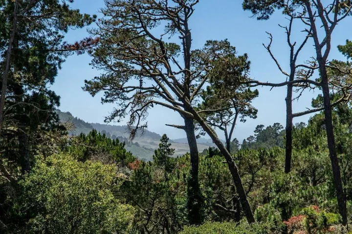 113 Del Mesa Carmel, Carmel, California 93923