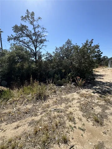 69714 Sugarloaf Avenue, Mountain Center, California 92561