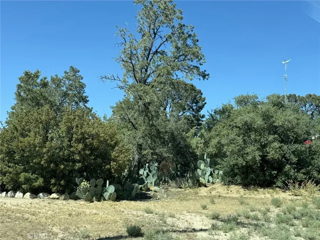 69714 Sugarloaf Avenue, Mountain Center, California 92561