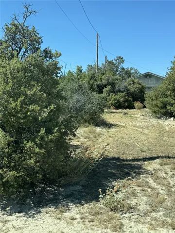 69714 Sugarloaf Avenue, Mountain Center, California 92561