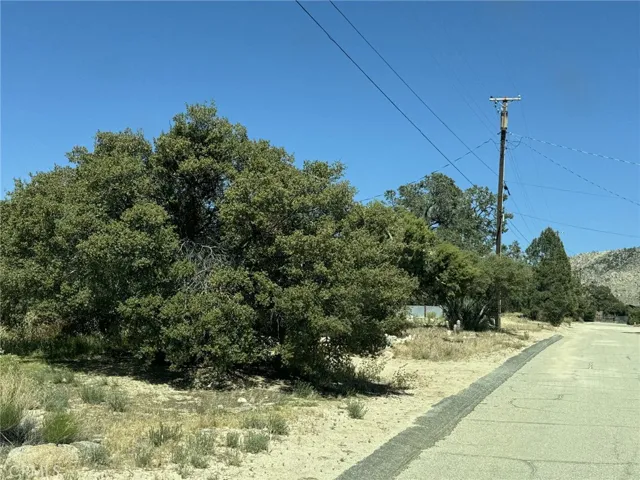 69714 Sugarloaf Avenue, Mountain Center, California 92561